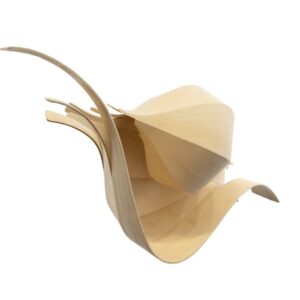 bent-laminated sculpture by Alison Croney Moses