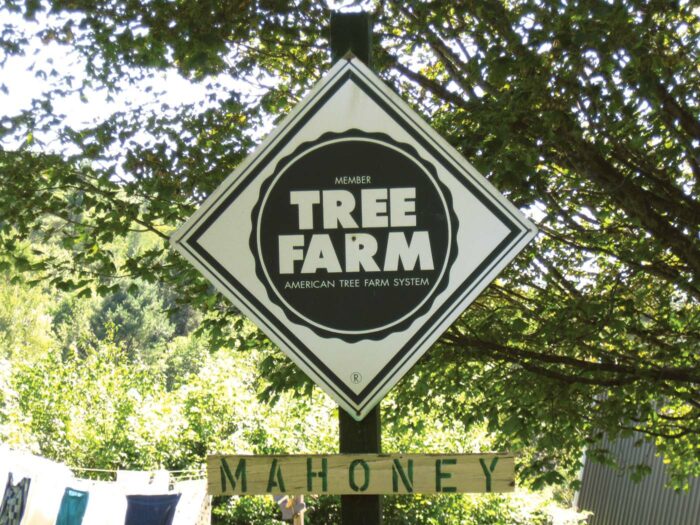 John Mahoney's family tree farm
