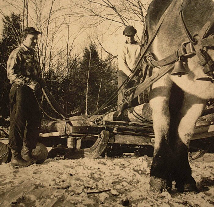 John Mahoney hauling trees to sawmill with his family
