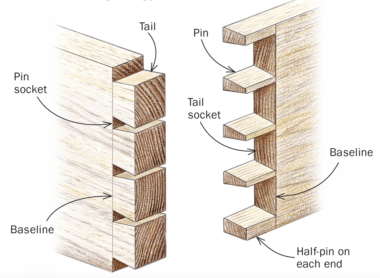 Anatomy of a strong joint