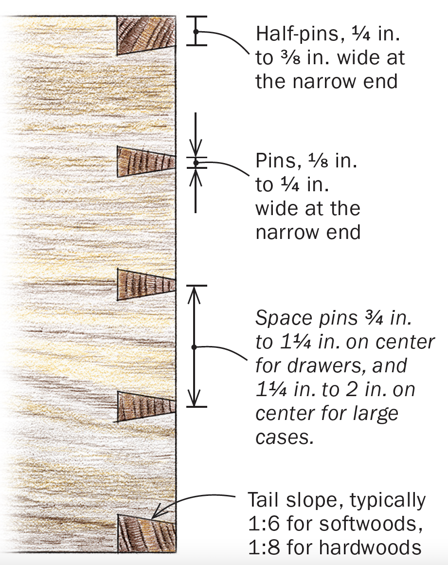 anatomy of joint drawing